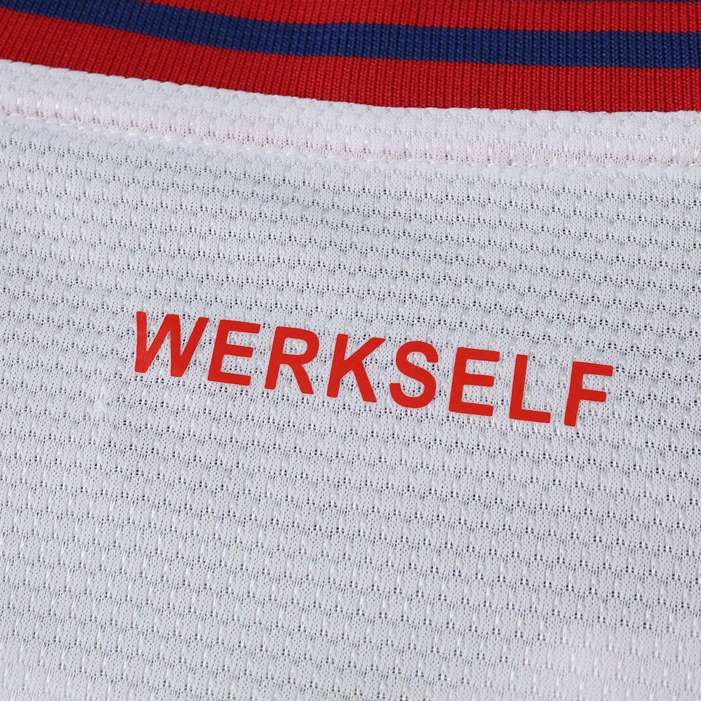 Bayer Leverkusen 04 LeverKiss Edition 2025/2026 Fan Version
