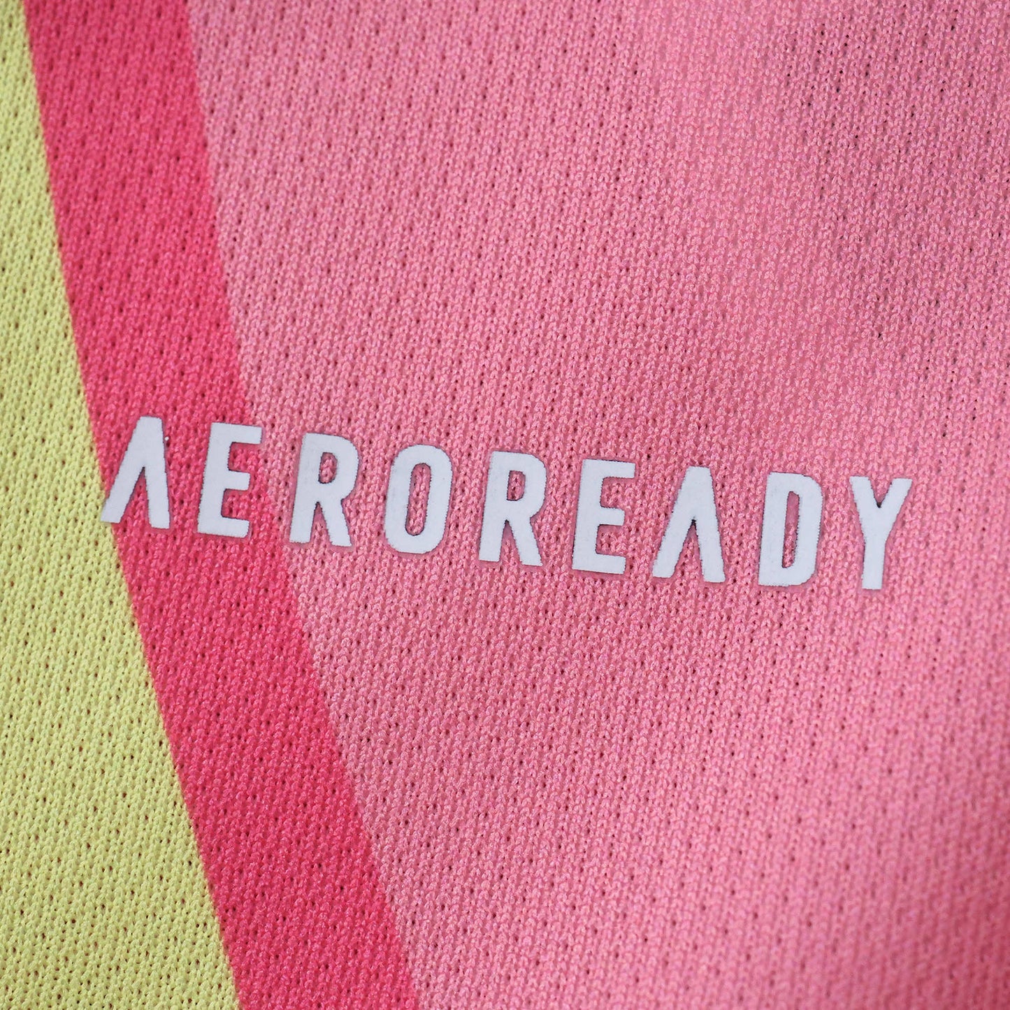 Scotland Maillot Extérieur 2025/2026