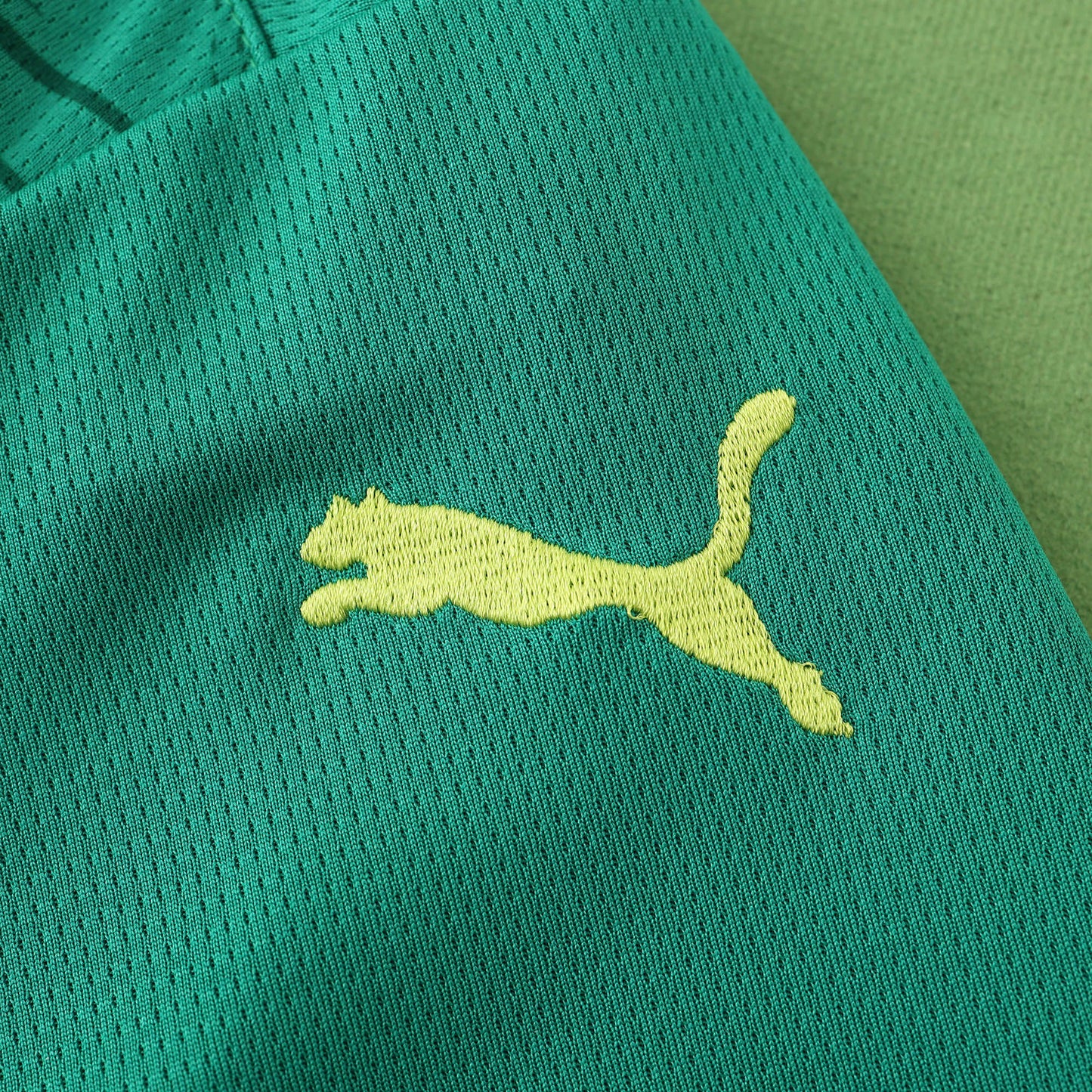 Senegal Maillot Extérieur Fan Version 2024/2025
