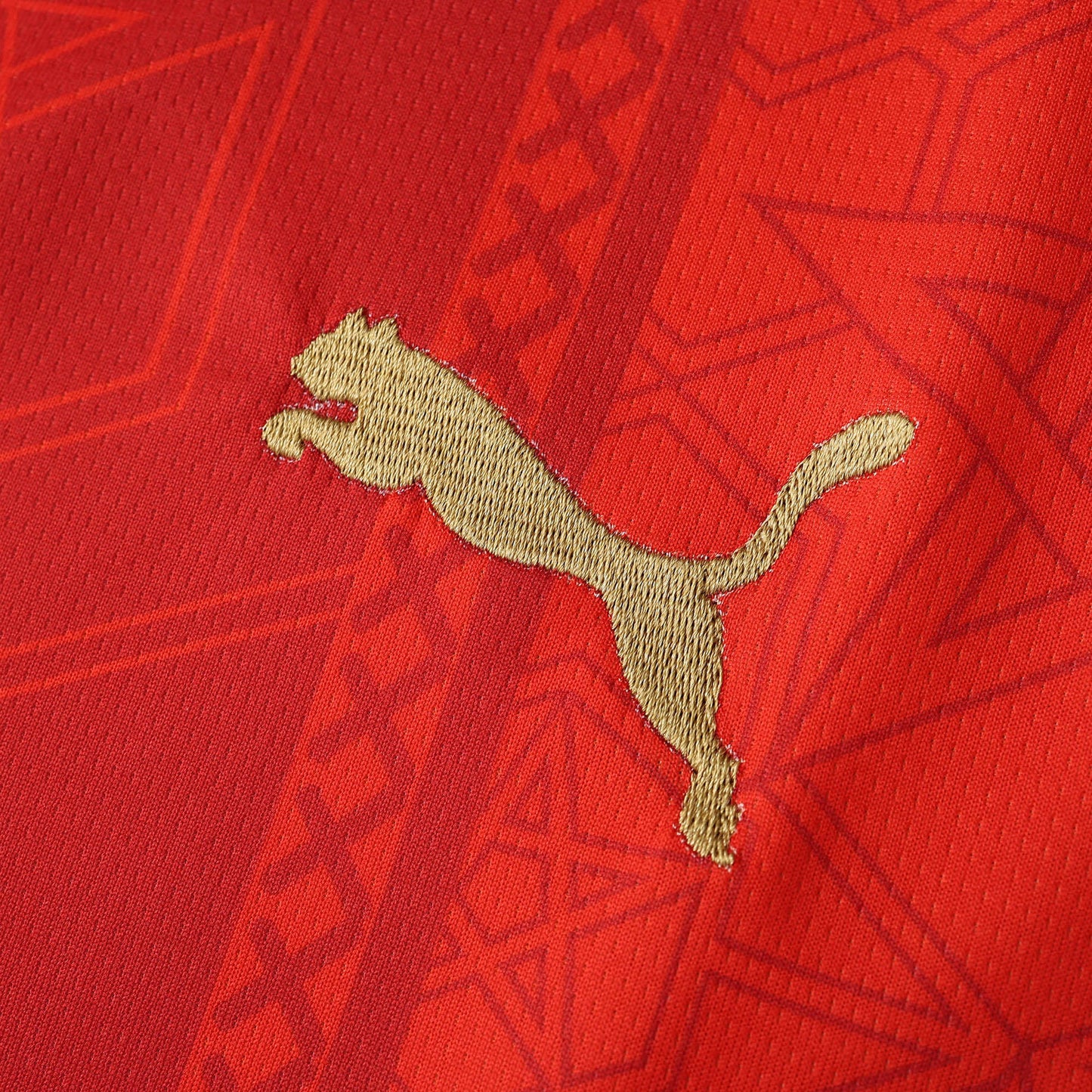 Maroc Maillot Domicile 2024/2025 Fan Version
