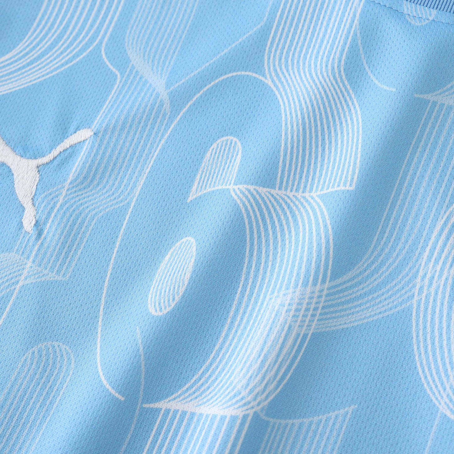 Manchester City Maillot D'Entrainement 2024/2025 Fan Version