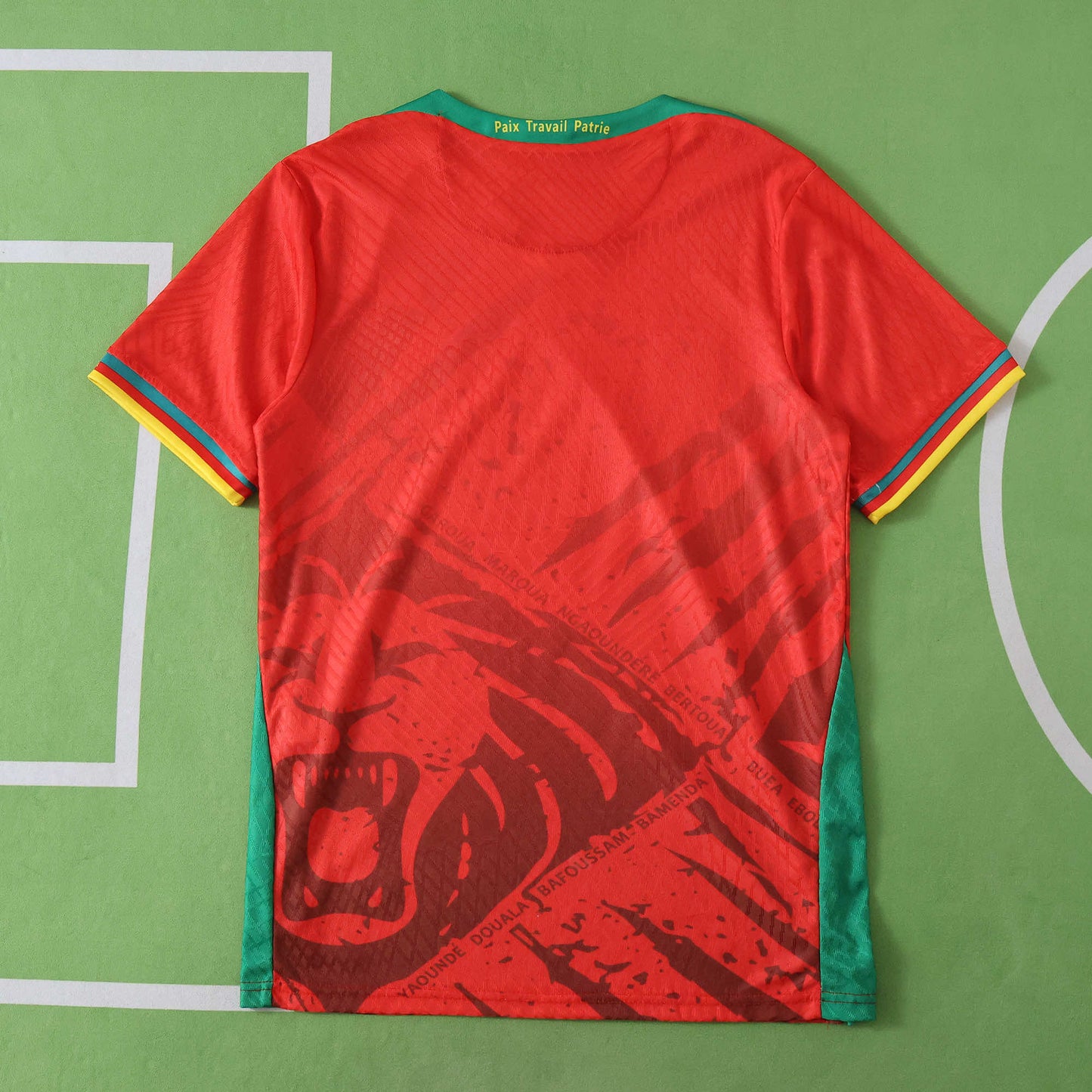 Cameroon Maillot Extérieur 2025/2026 Player Version