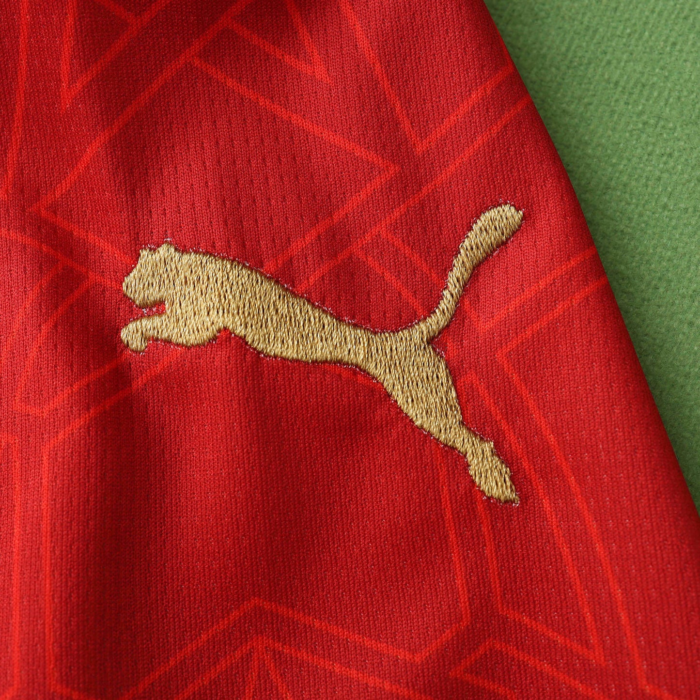 Maroc Maillot Domicile 2024/2025 Fan Version