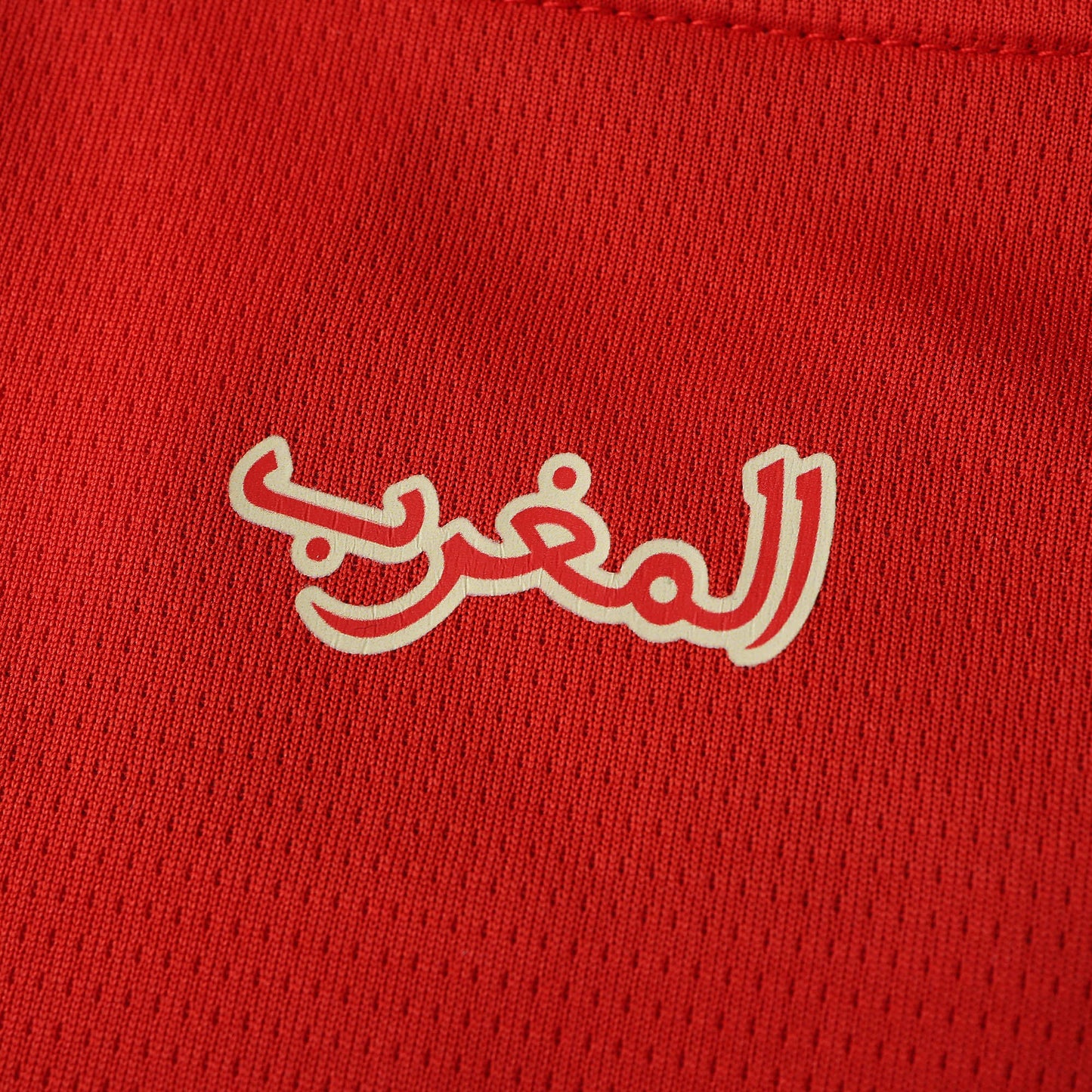 Maroc Maillot Domicile 2024/2025 Fan Version