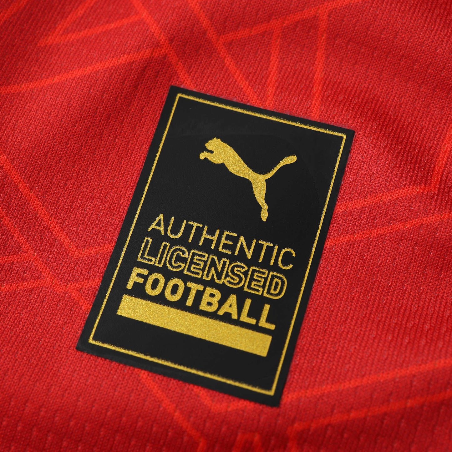 Maroc Maillot Domicile 2024/2025 Fan Version