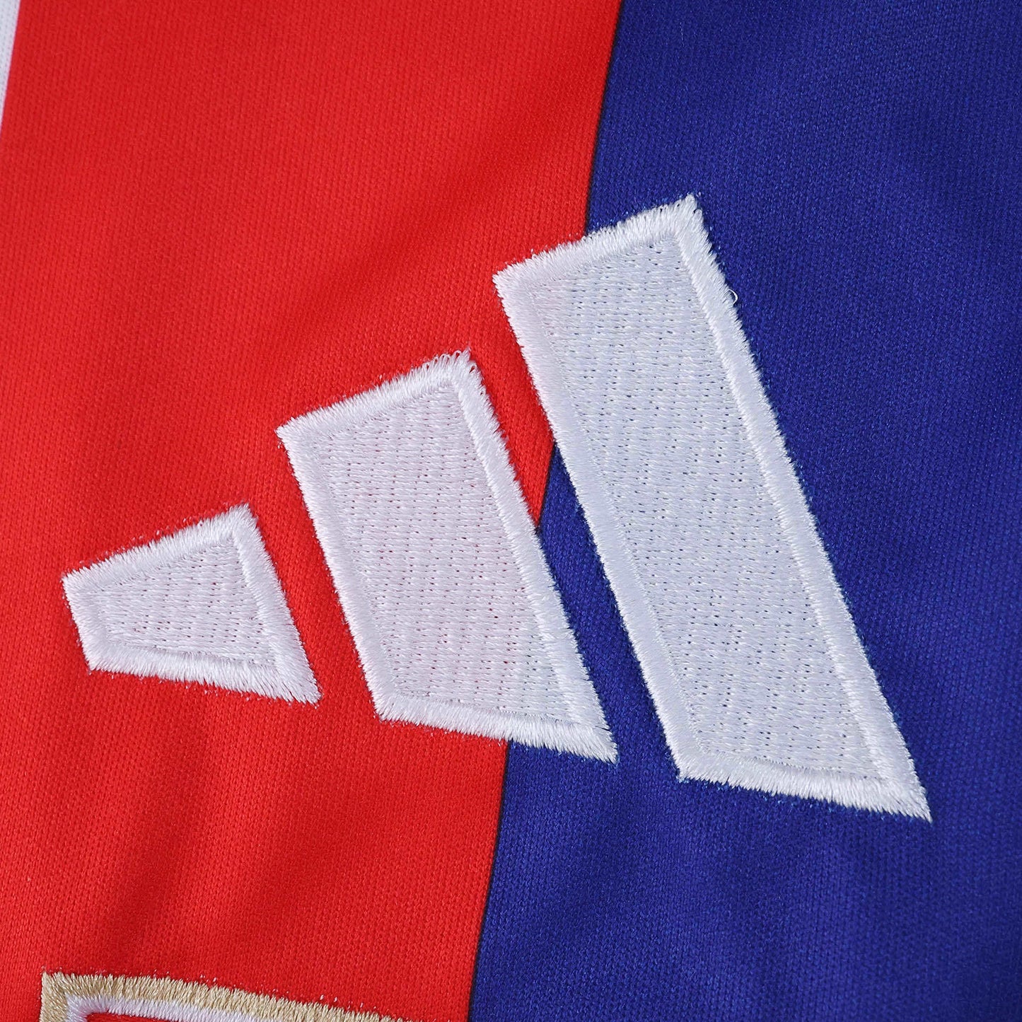 Olympique Lyonnais Maillot Domicile 2025/2026 Fan Version