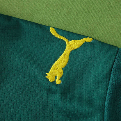 Senegal Maillot Extérieur 2026 Fan Version