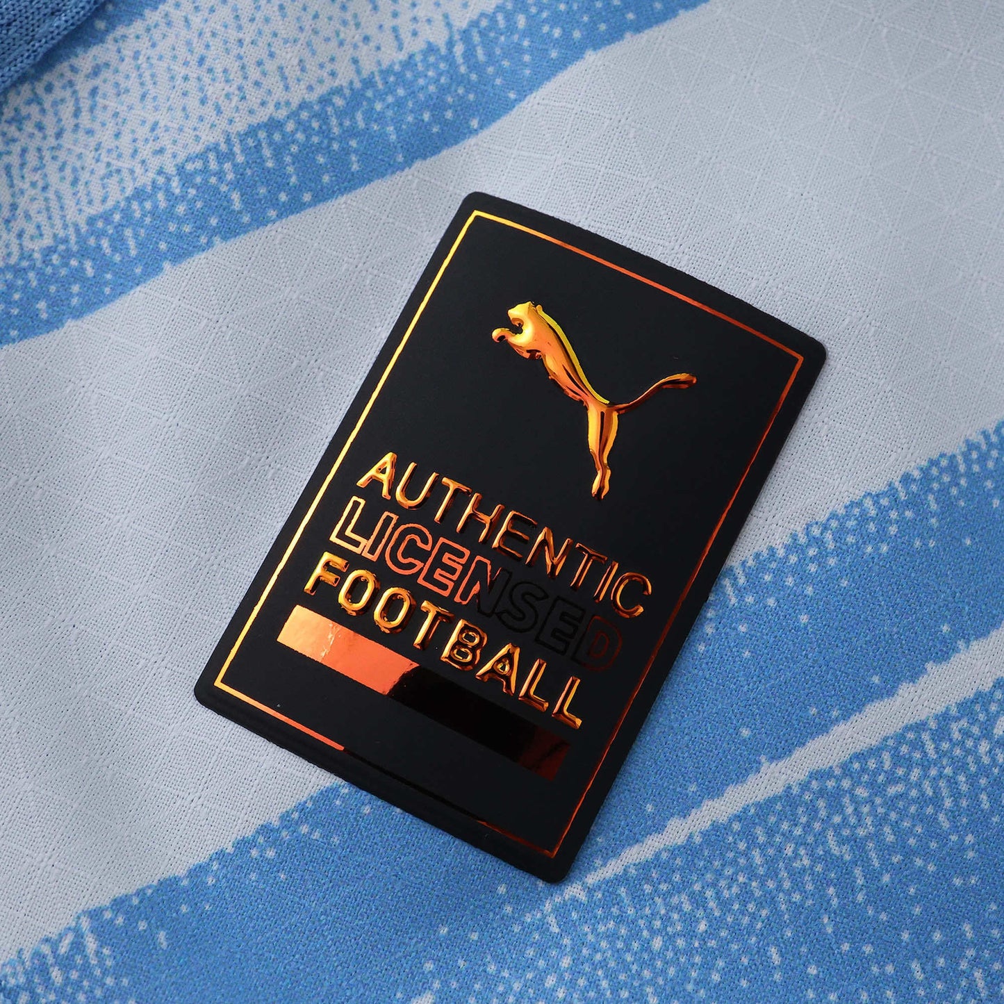 Manchester City Home Shirt 2025/2026 Fan Version