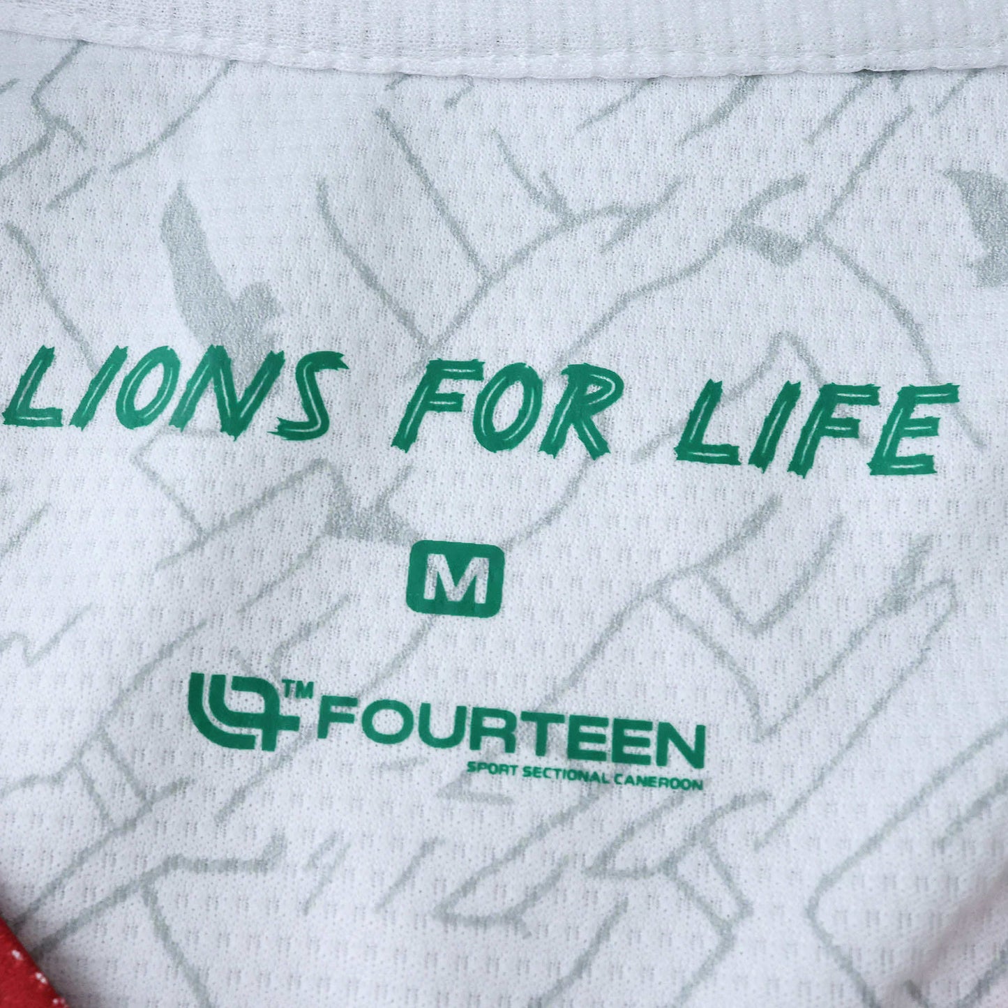 Cameroon Troisième Maillot 2025/2026 Fan Version