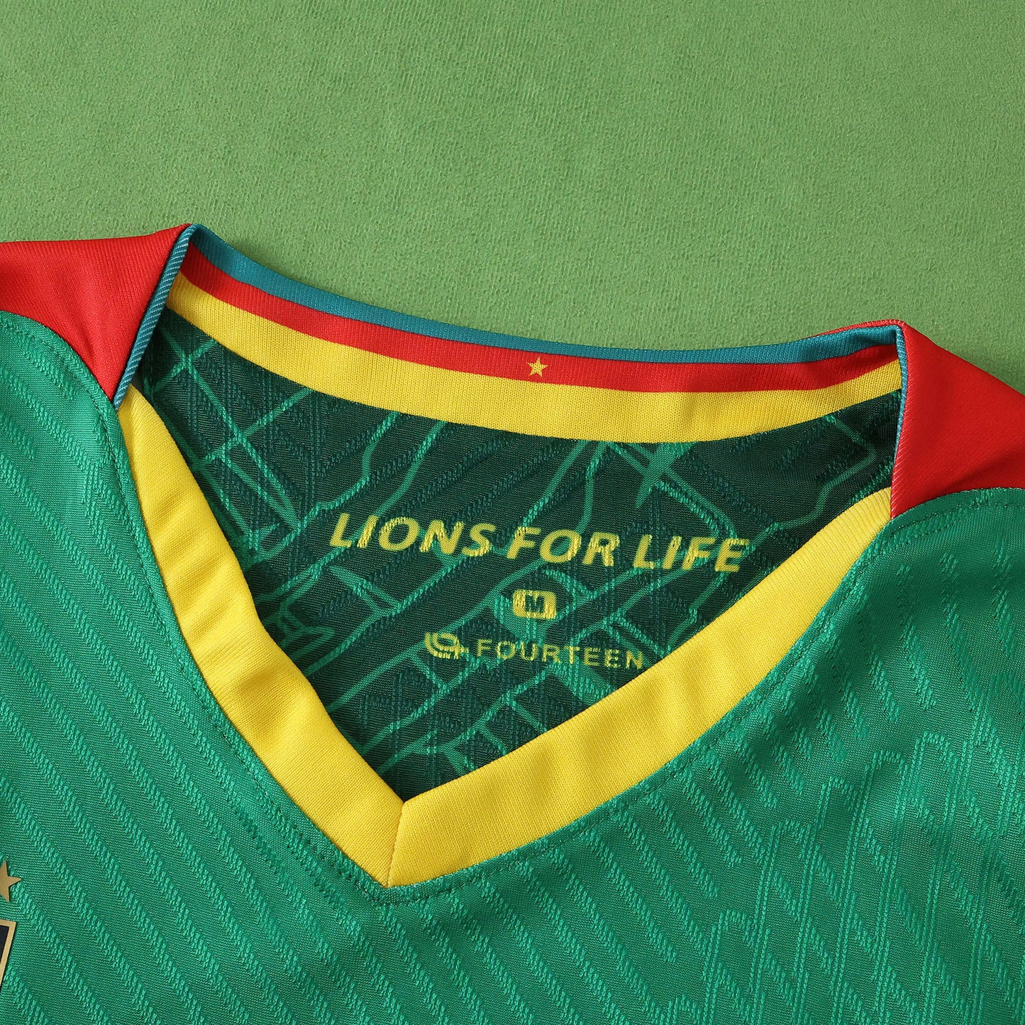 Cameroon Maillot Domicile 2025/2026 Player Version
