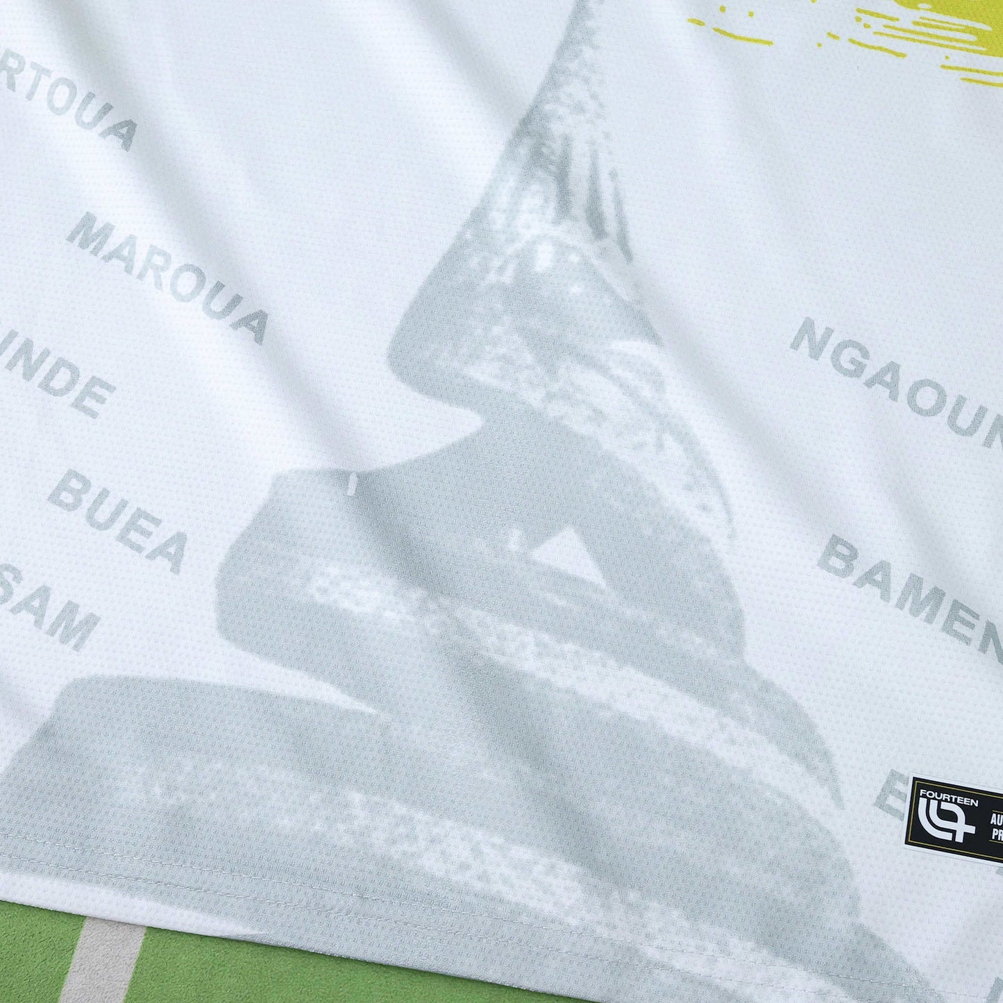 Cameroon Troisième Maillot 2025/2026 Fan Version