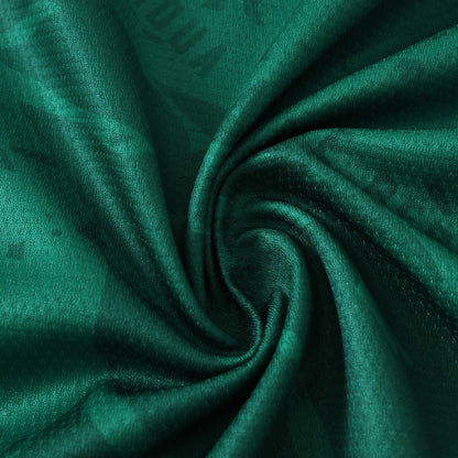 Cameroon Maillot Domicile 2025/2026 Fan Version