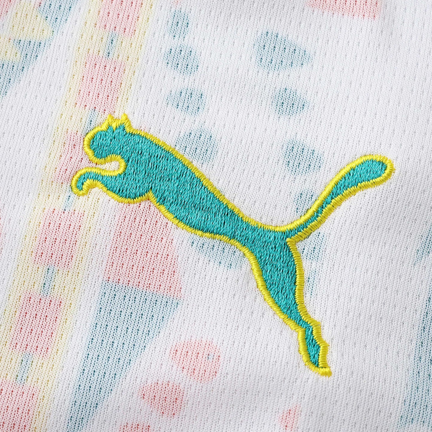 Senegal Maillot Domicile 2026 Fan Version