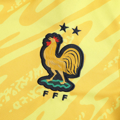 France Goalkeeper Jersey UEFA 2024 Fan Version
