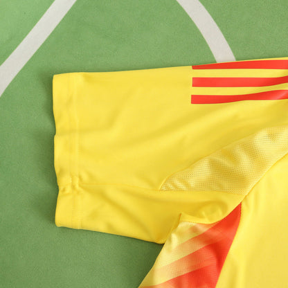 Colombie Maillot Domicile 2025/2026 Version Player