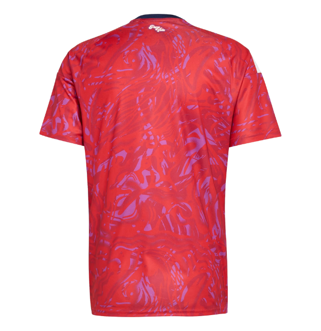 Costa Rica Maillot 2026 World Cup Fan Version