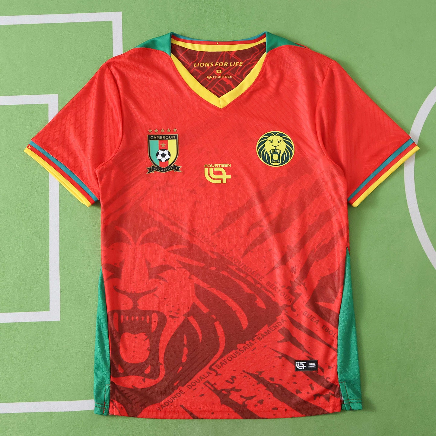 Cameroon Maillot Extérieur 2025/2026 Player Version
