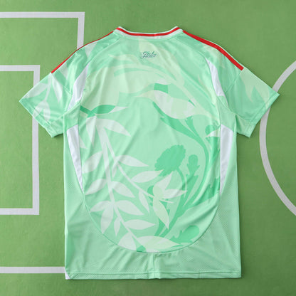 Italie Maillot Extérieur 2025/2026 Fan Version