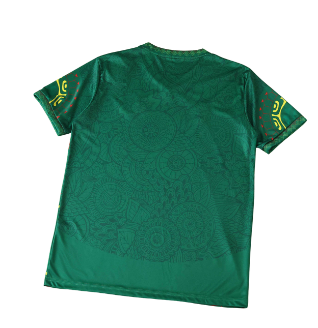 Mali Maillot Vert Domicile 2025/2026 Fan Version