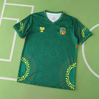 Mali Maillot Vert Domicile 2025/2026 Fan Version