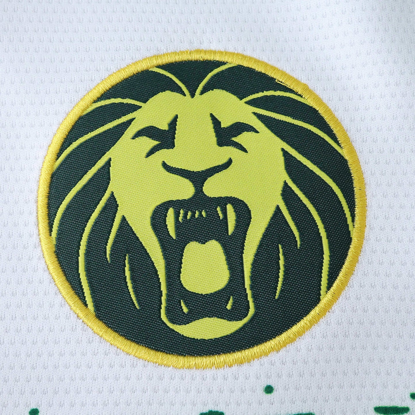 Cameroon Troisième Maillot 2025/2026 Fan Version