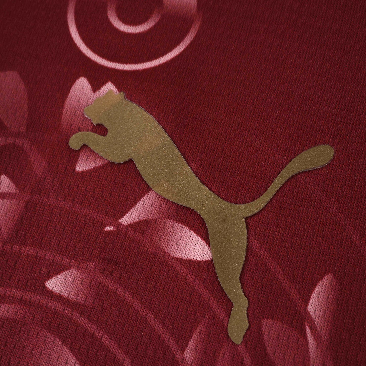 Galatasaray SK Third Jersey 2025/2026 Fan Version