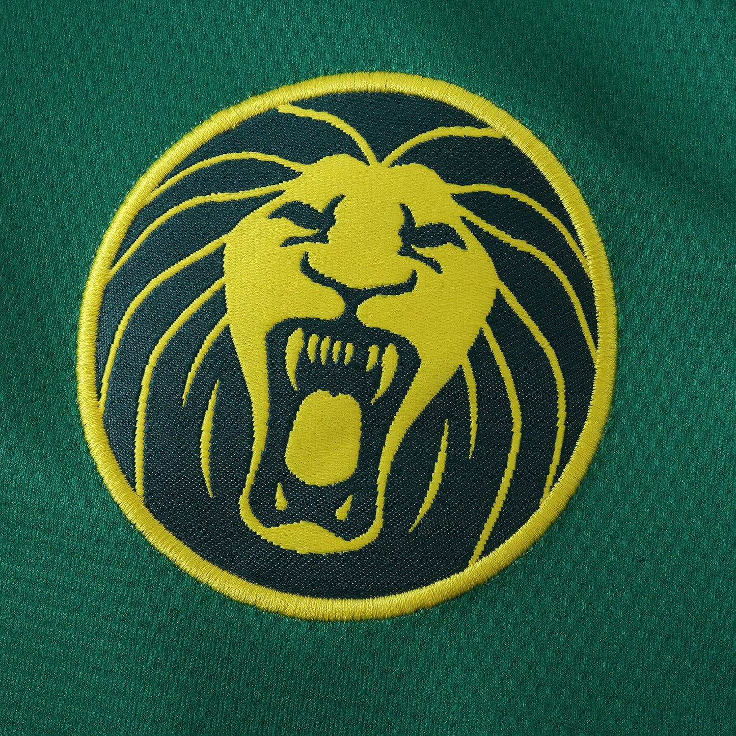 Cameroon Maillot Domicile 2025/2026 Fan Version