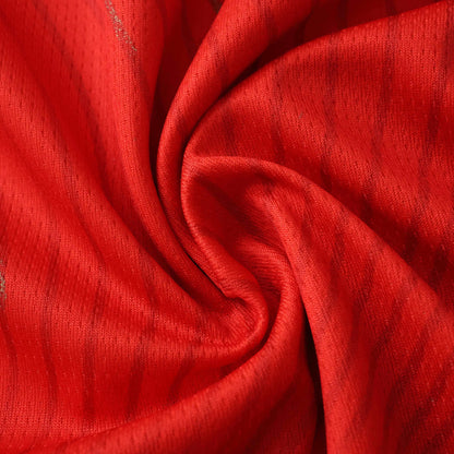 Suisse Maillot Domicile 2026 World Cup Fan Version