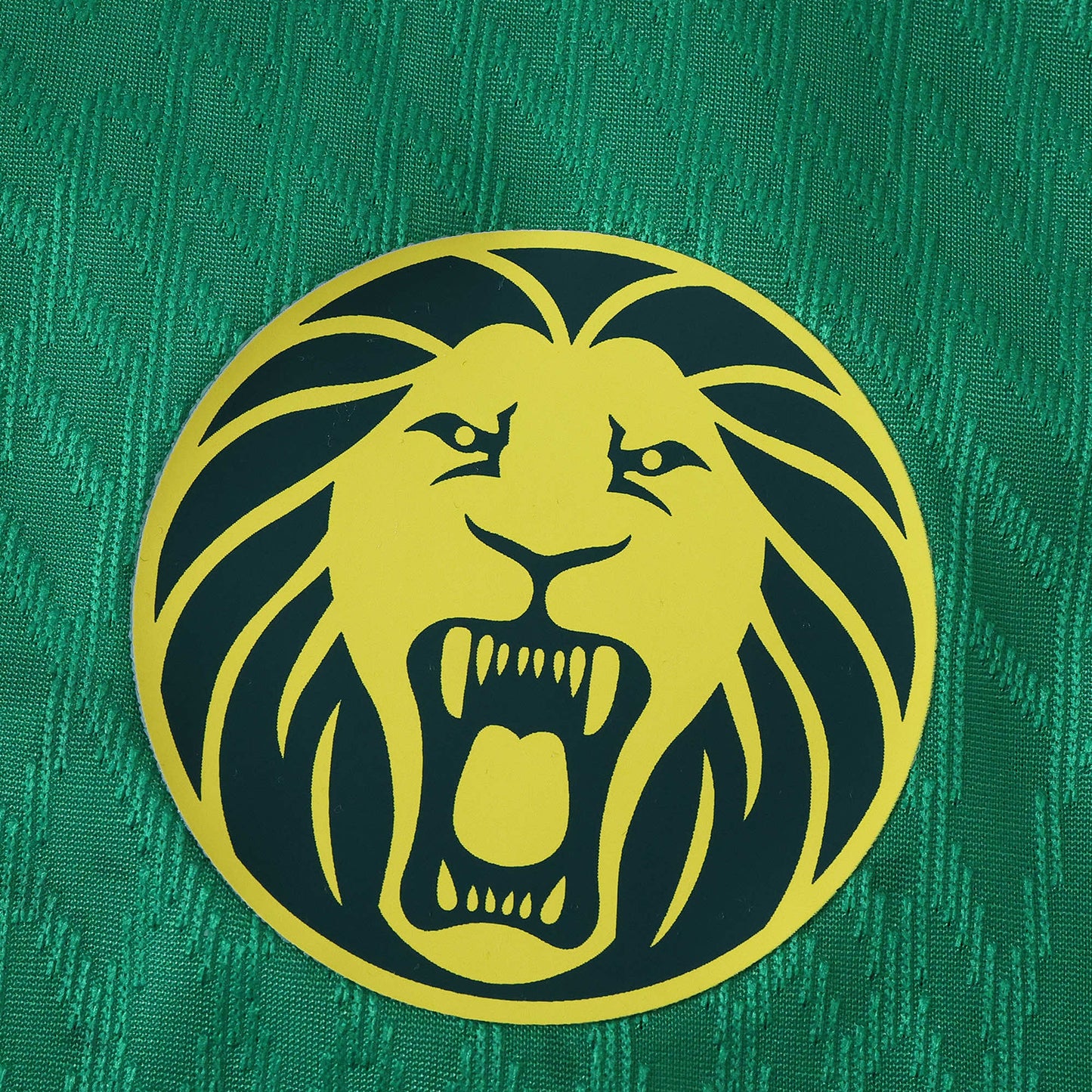 Cameroon Maillot Domicile 2025/2026 Player Version