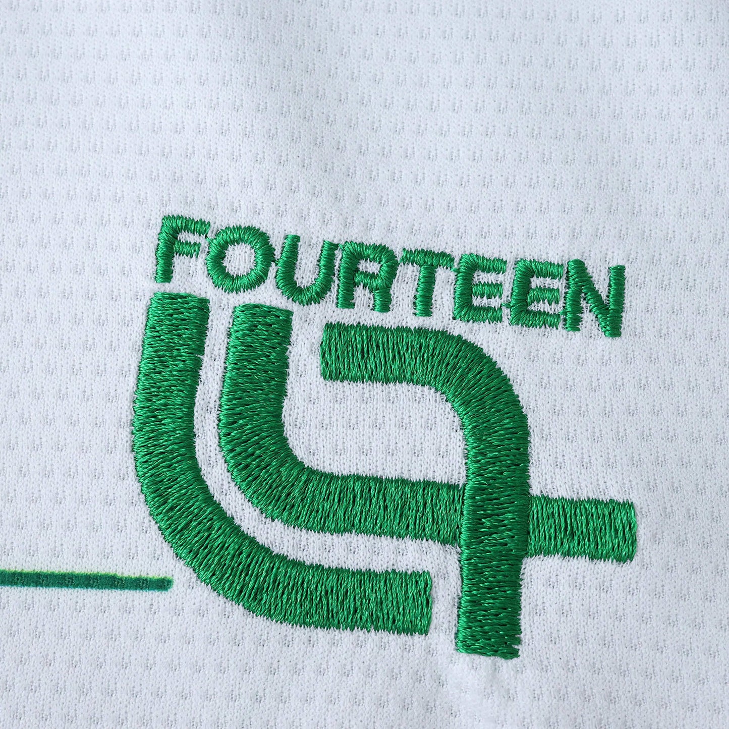 Cameroon Troisième Maillot 2025/2026 Fan Version