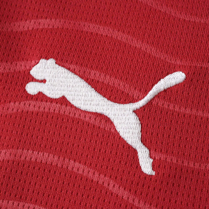 Portugal Maillot Domicile 2026 World Cup Fan Version