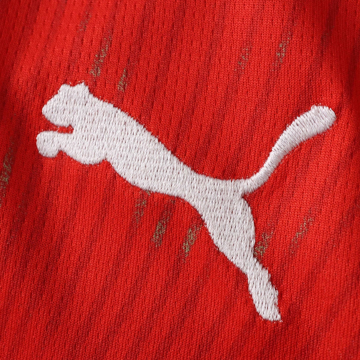 Suisse Maillot Domicile 2026 World Cup Fan Version