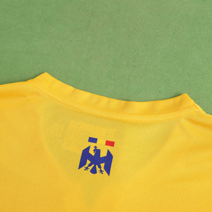 Roumanie Maillot Domicile 2024 UEFA Fan Version