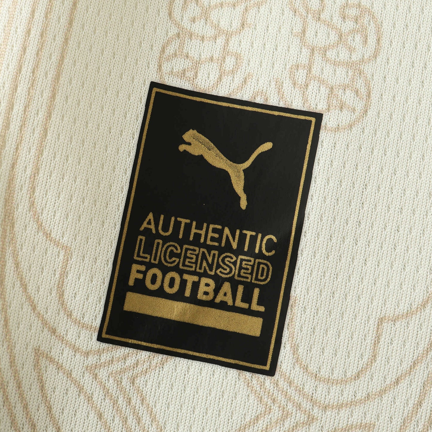 AC Milan Quatrième Maillot 2024/2025 Fan Version