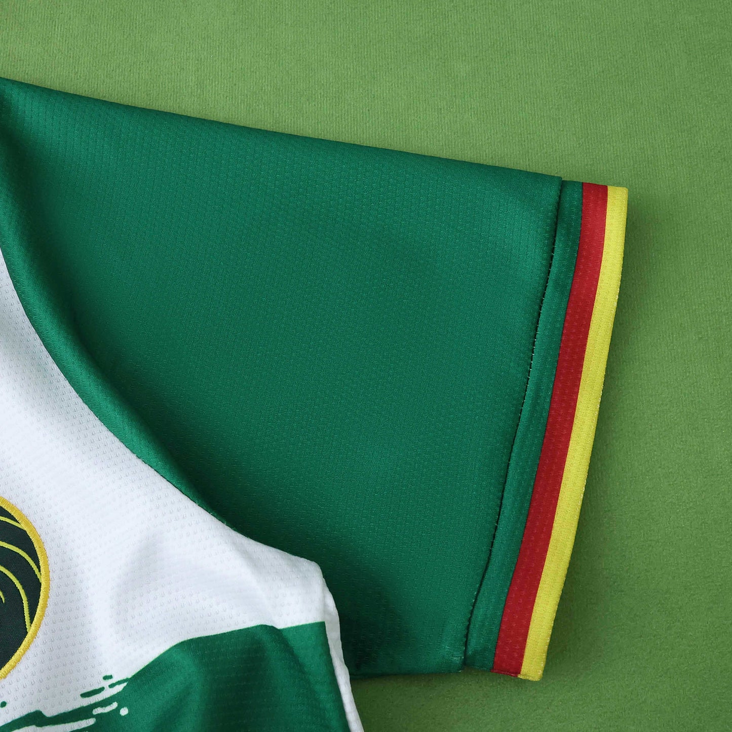 Cameroon Troisième Maillot 2025/2026 Fan Version