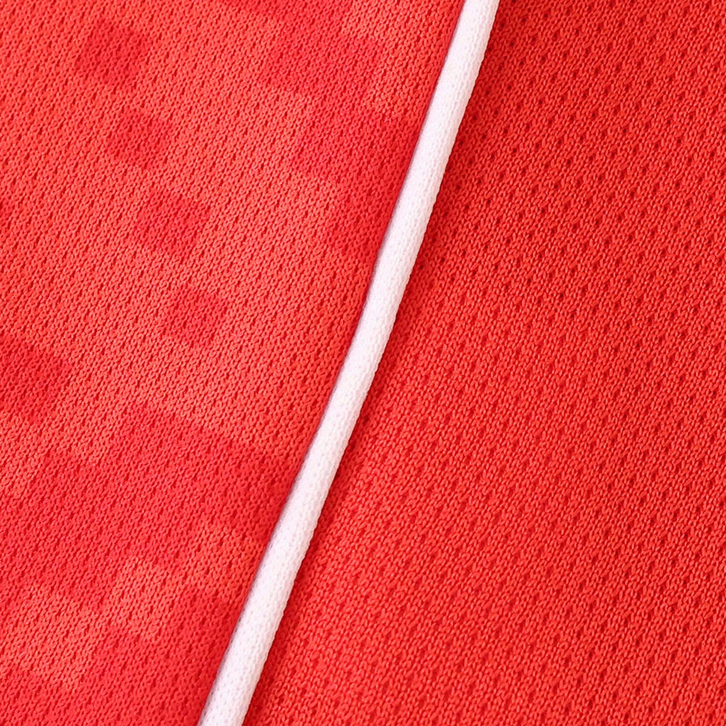 Tunisie Maillot Domicile 2025/2026 Fan Version