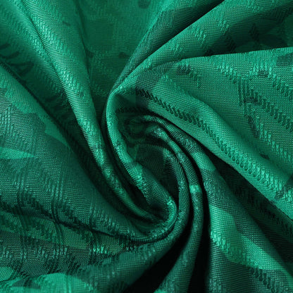 Cameroon Maillot Domicile 2025/2026 Player Version