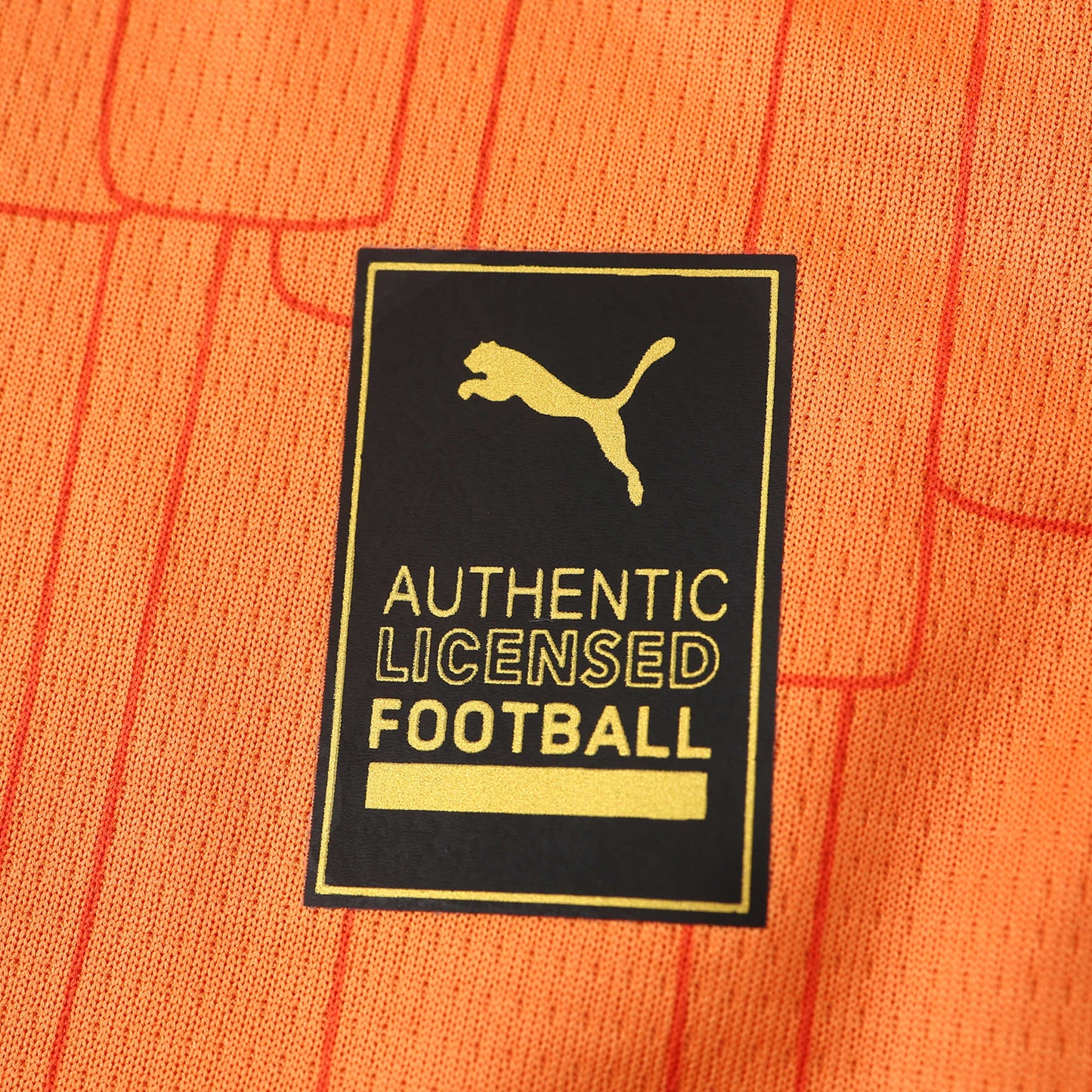 Cite D'Ivoire Maillot Extérieur 2024/2025 Fan Version