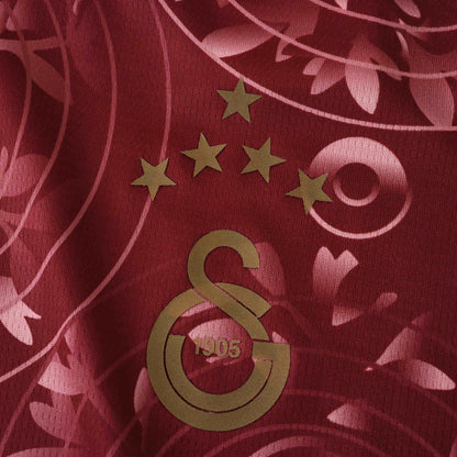 Galatasaray SK Third Jersey 2025/2026 Fan Version