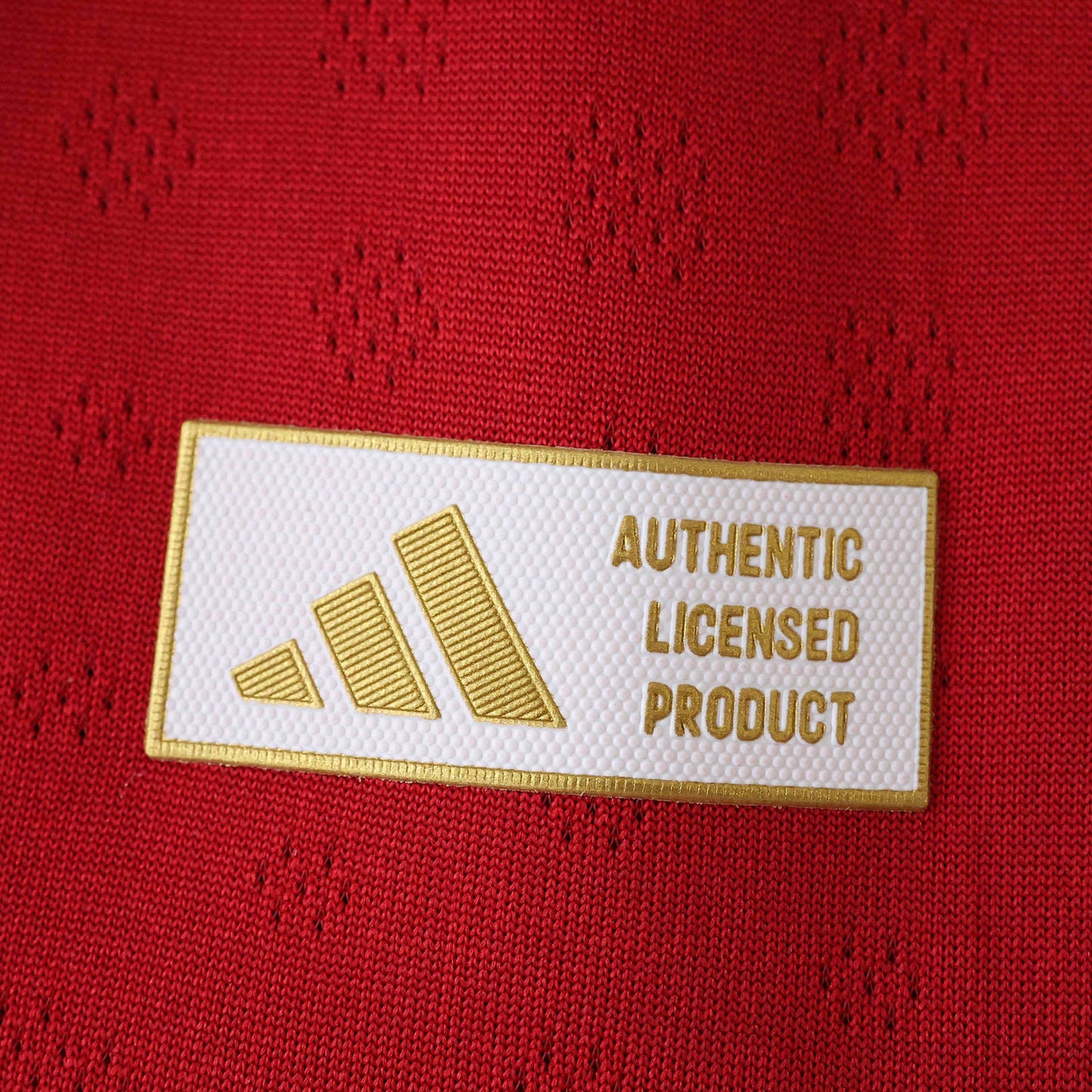 Liverpool Maillot Longue Manche Domicile 2025/2026 Player Version