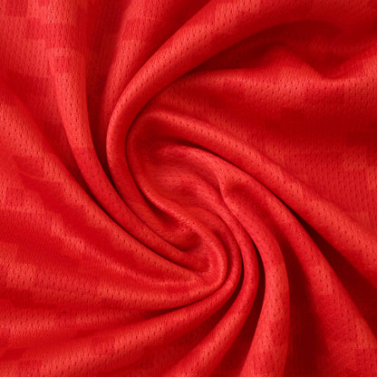 Tunisie Maillot Domicile 2025/2026 Fan Version