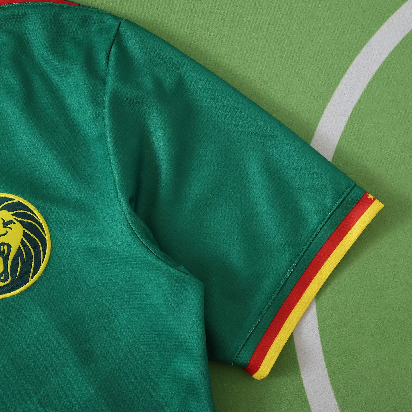 Cameroon Maillot Domicile 2025/2026 Fan Version