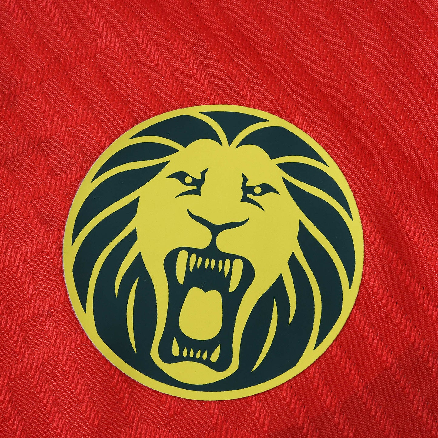 Cameroon Maillot Extérieur 2025/2026 Player Version