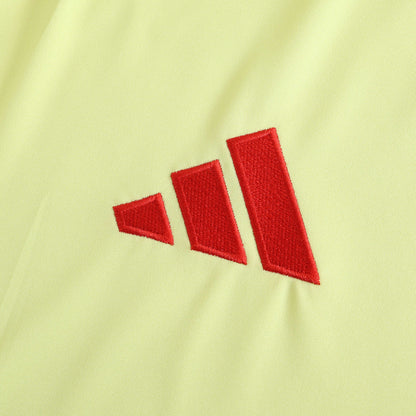 Espagne Maillot Extérieur 2024 UEFA Fan Version