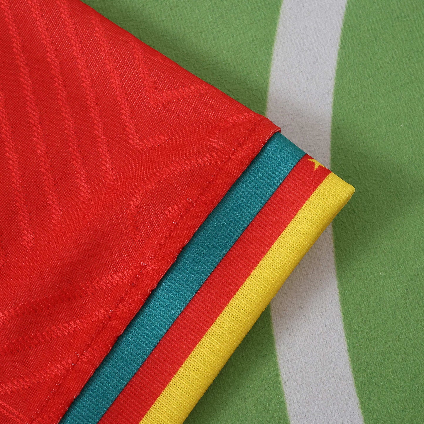 Cameroon Maillot Extérieur 2025/2026 Player Version