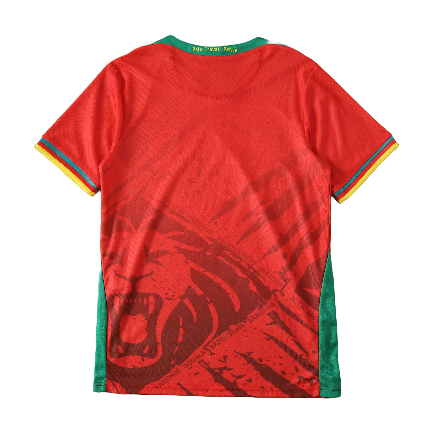 Cameroon Maillot Extérieur 2025/2026 Player Version