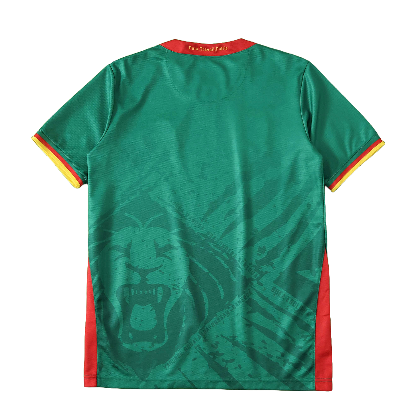 Cameroon Maillot Domicile 2025/2026 Fan Version