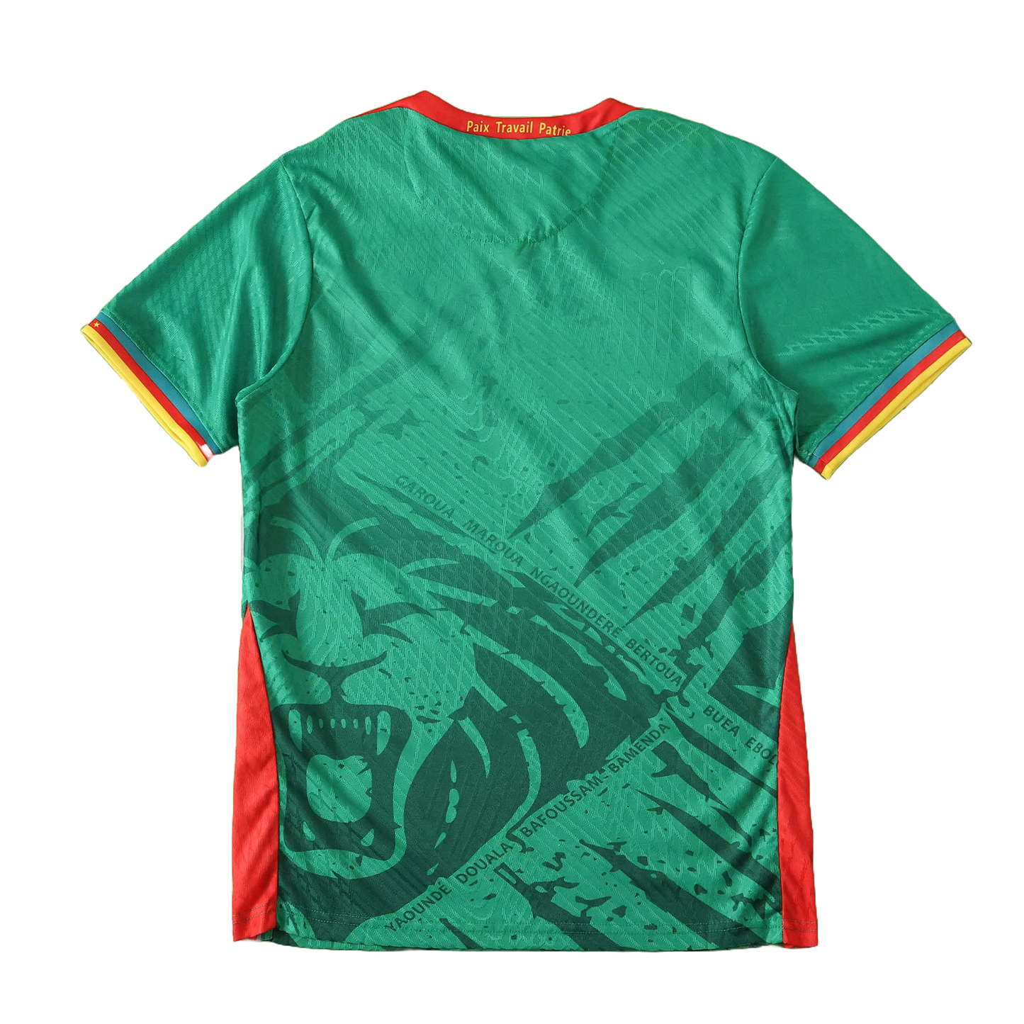 Cameroon Maillot Domicile 2025/2026 Player Version