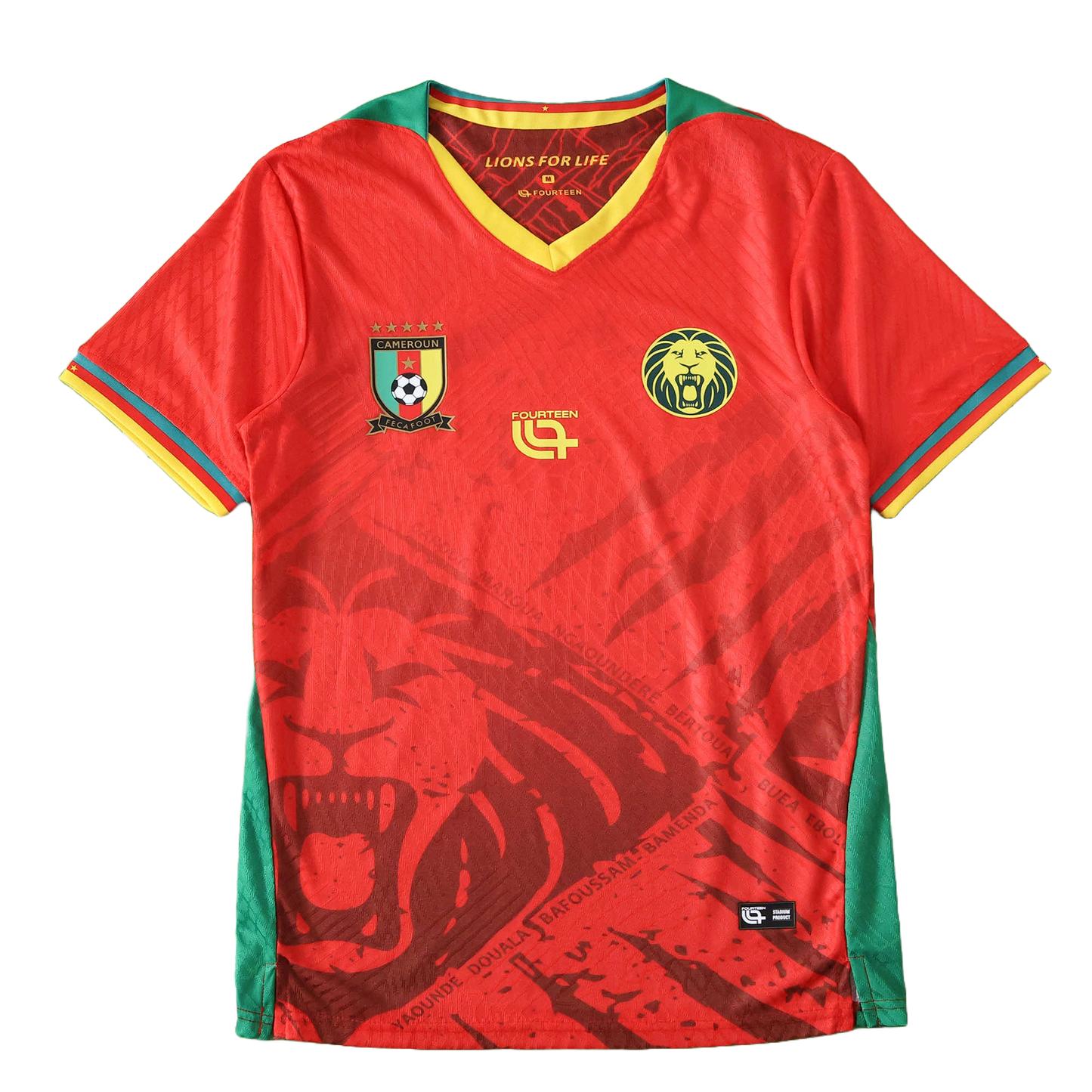 Cameroon Maillot Extérieur 2025/2026 Player Version