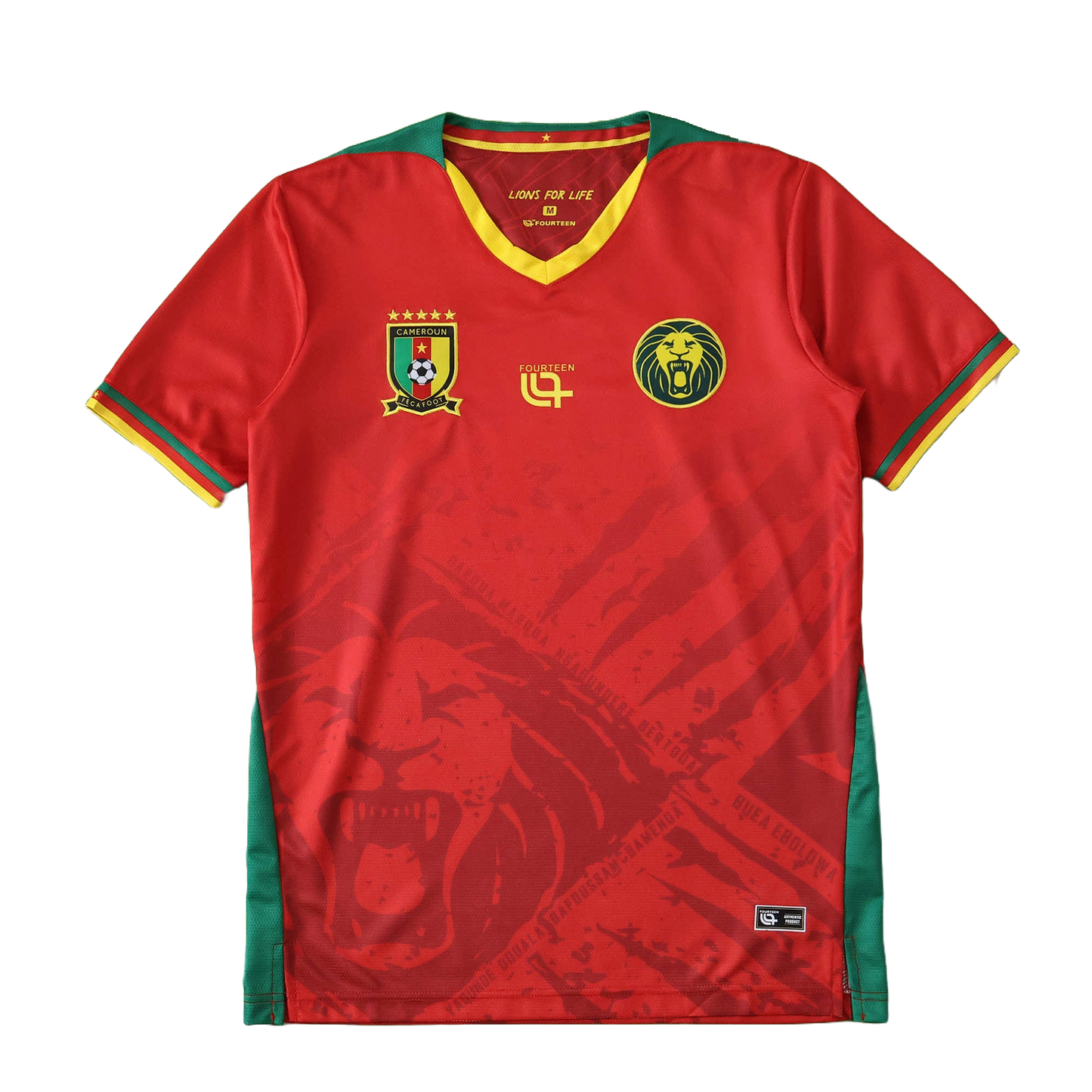 Cameroon Maillot Extérieur 2025/2026 Fan Version
